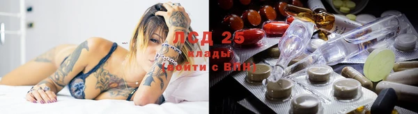 соль ск Пересвет