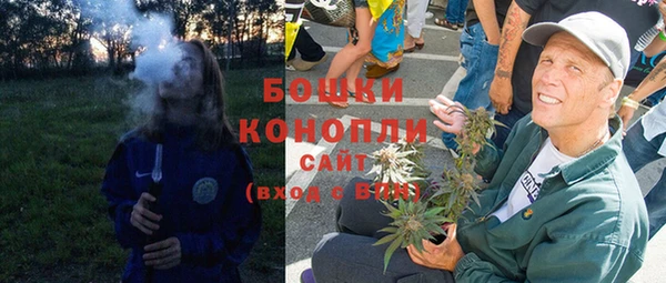 прущие грибы Алзамай