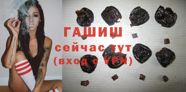 прущие грибы Алзамай