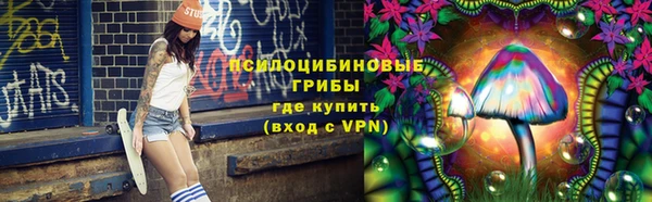 прущие грибы Алзамай