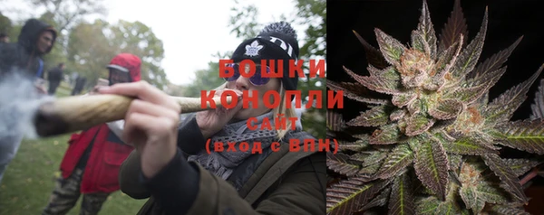 прущие грибы Алзамай