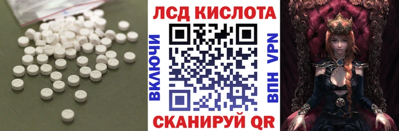darknet Telegram  mega ссылка  Петровск-Забайкальский  ЛСД экстази ecstasy 